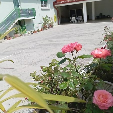 Gorizia Vacanze Appartamento In Villa Con Parcheggio Bagian luar foto